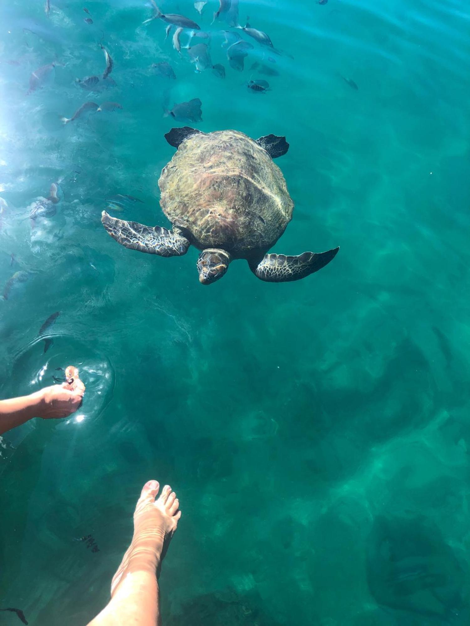 Estalagem Conves - Ilha Grande